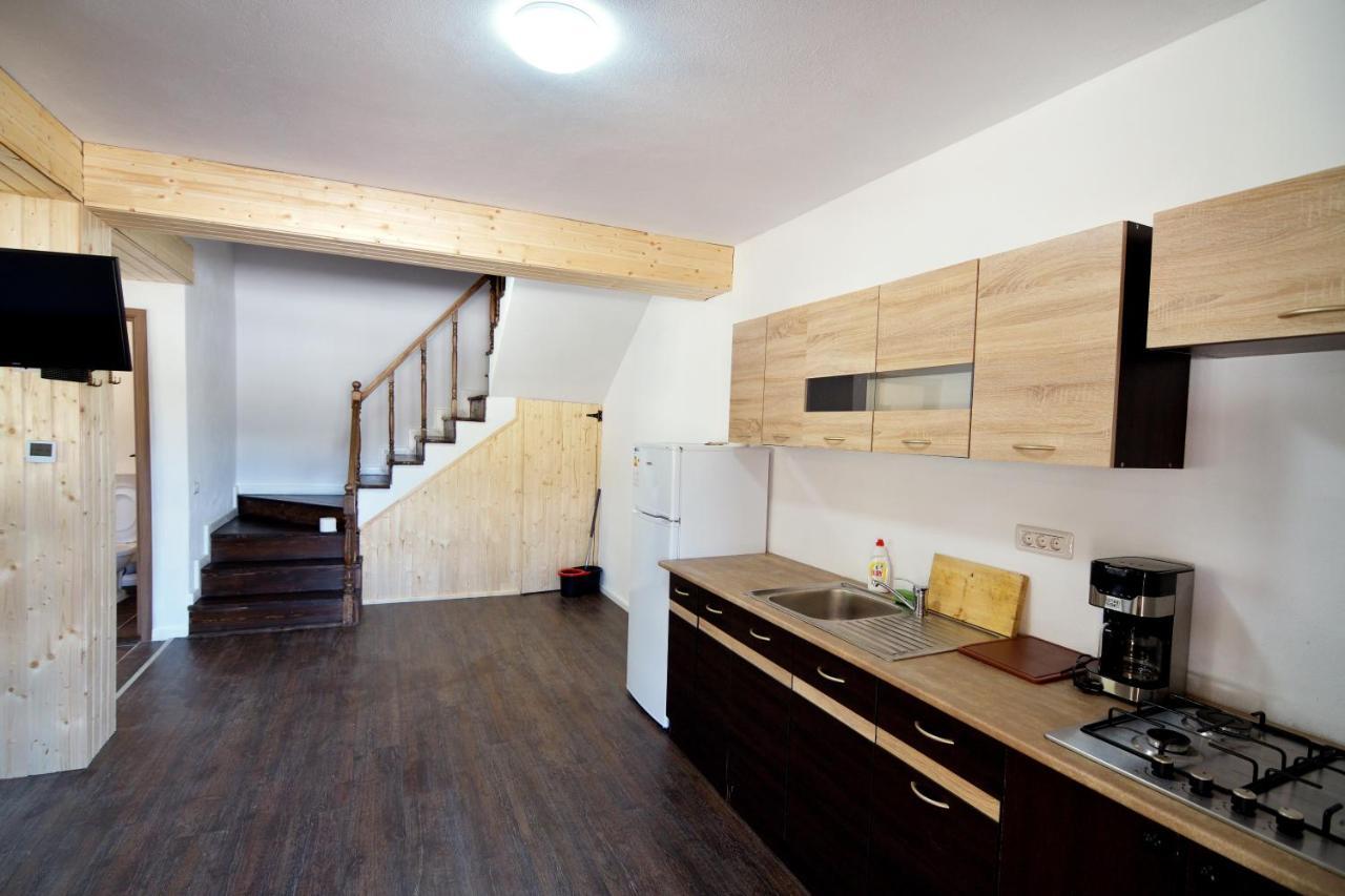 Enduro Transalpina Apartment Obarsia-Lotrului Ngoại thất bức ảnh