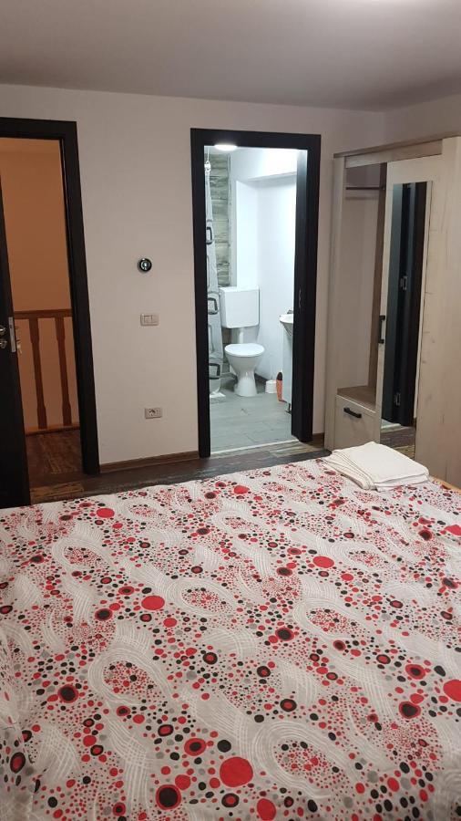 Enduro Transalpina Apartment Obarsia-Lotrului Ngoại thất bức ảnh