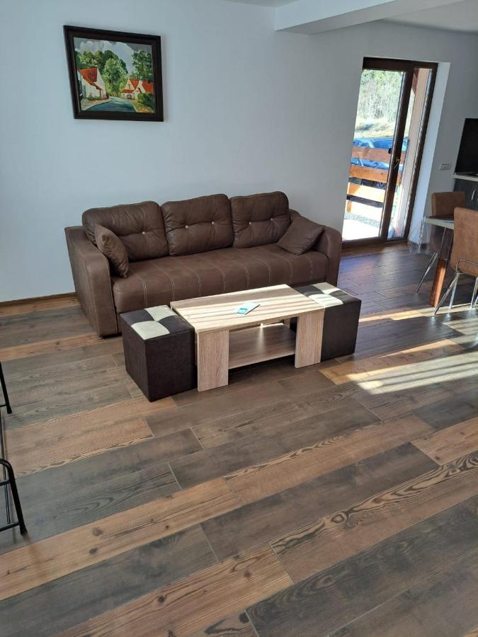 Enduro Transalpina Apartment Obarsia-Lotrului Ngoại thất bức ảnh